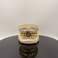 Top & Buttom Grillz Set