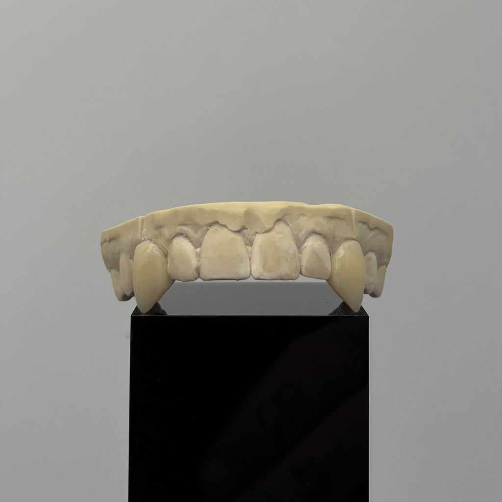 Vampire Fangs Set