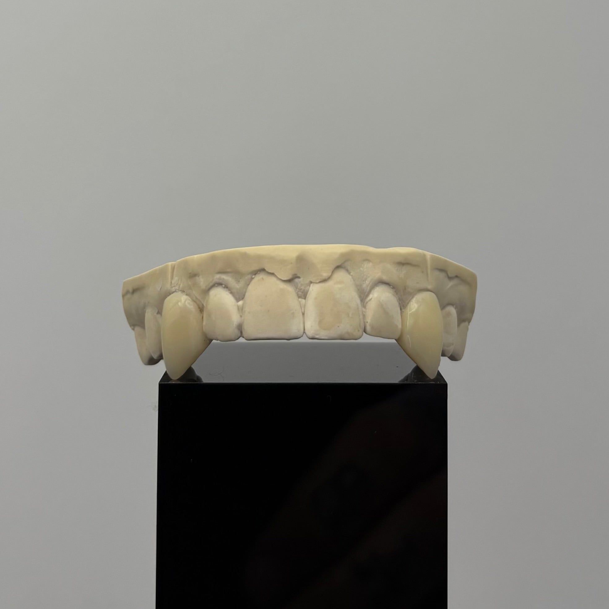 Vampire Fangs Set