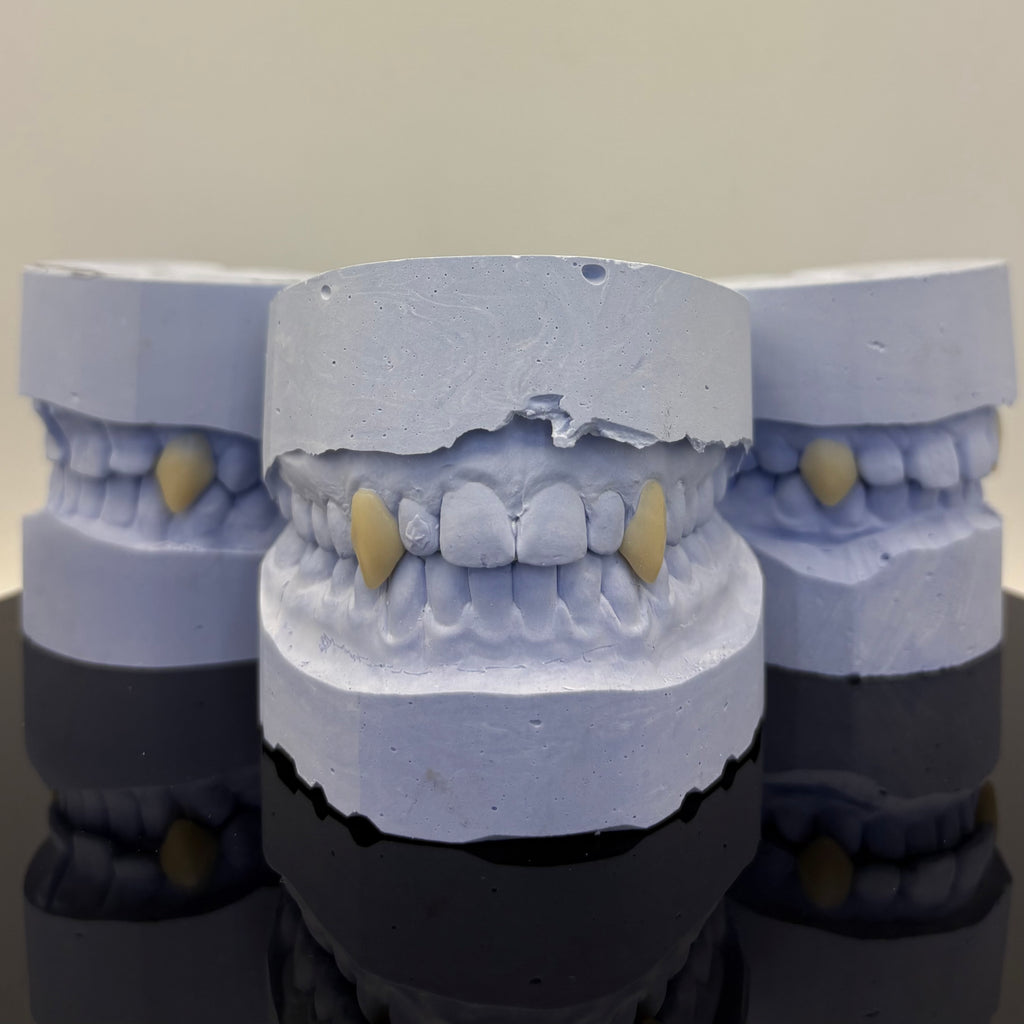 Vampire Fangs Set