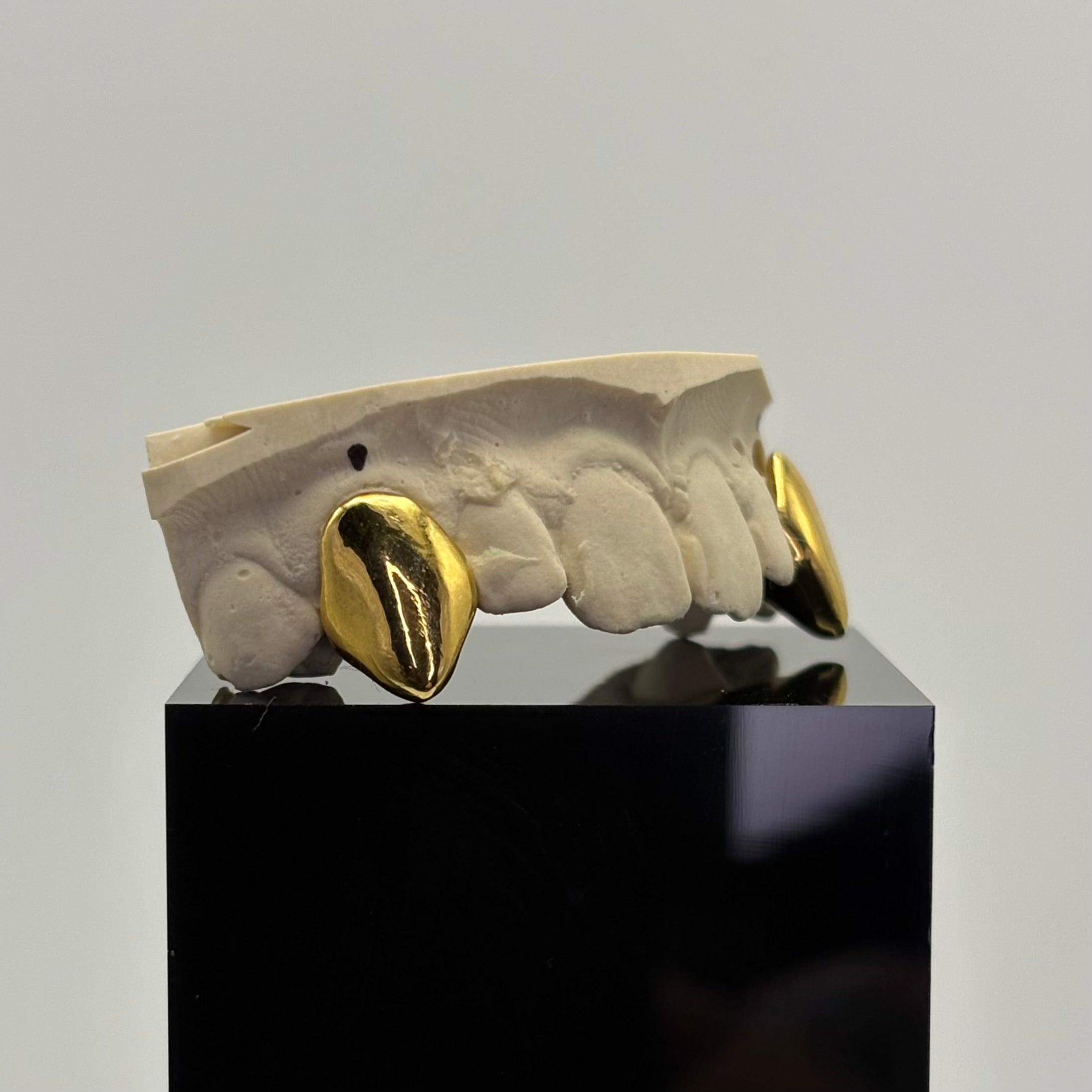 Vampire Grillz Set