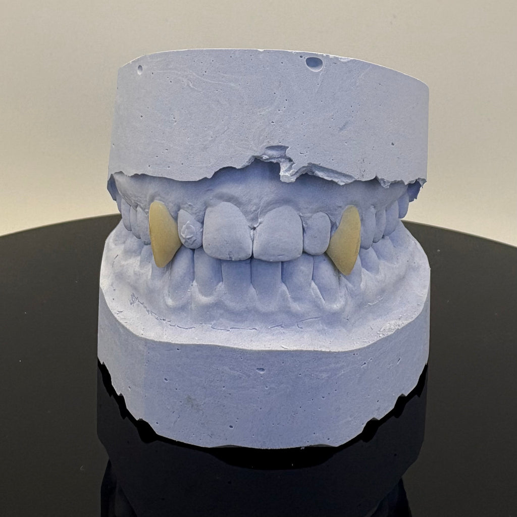 Vampire Fangs Set