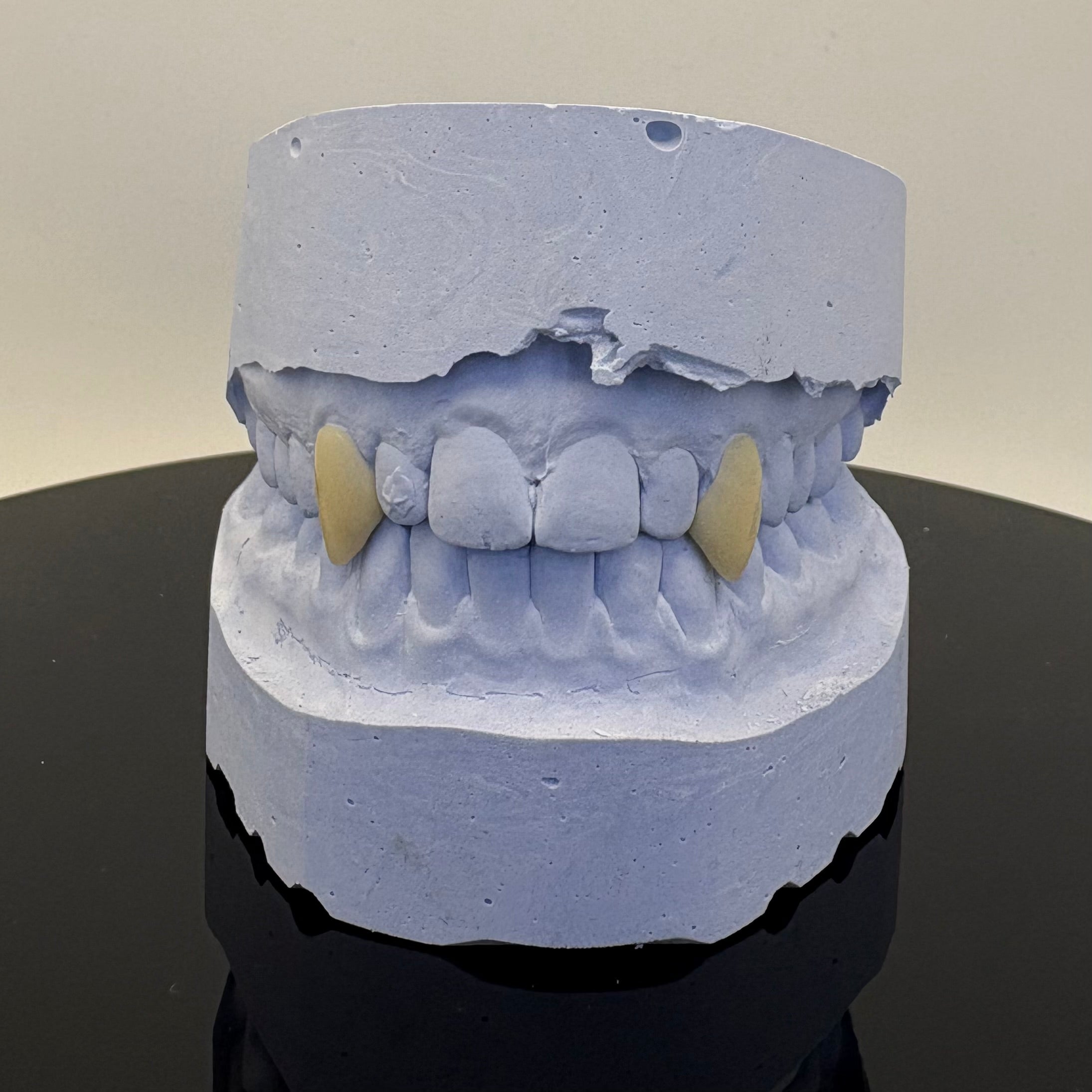Vampire Fangs Set