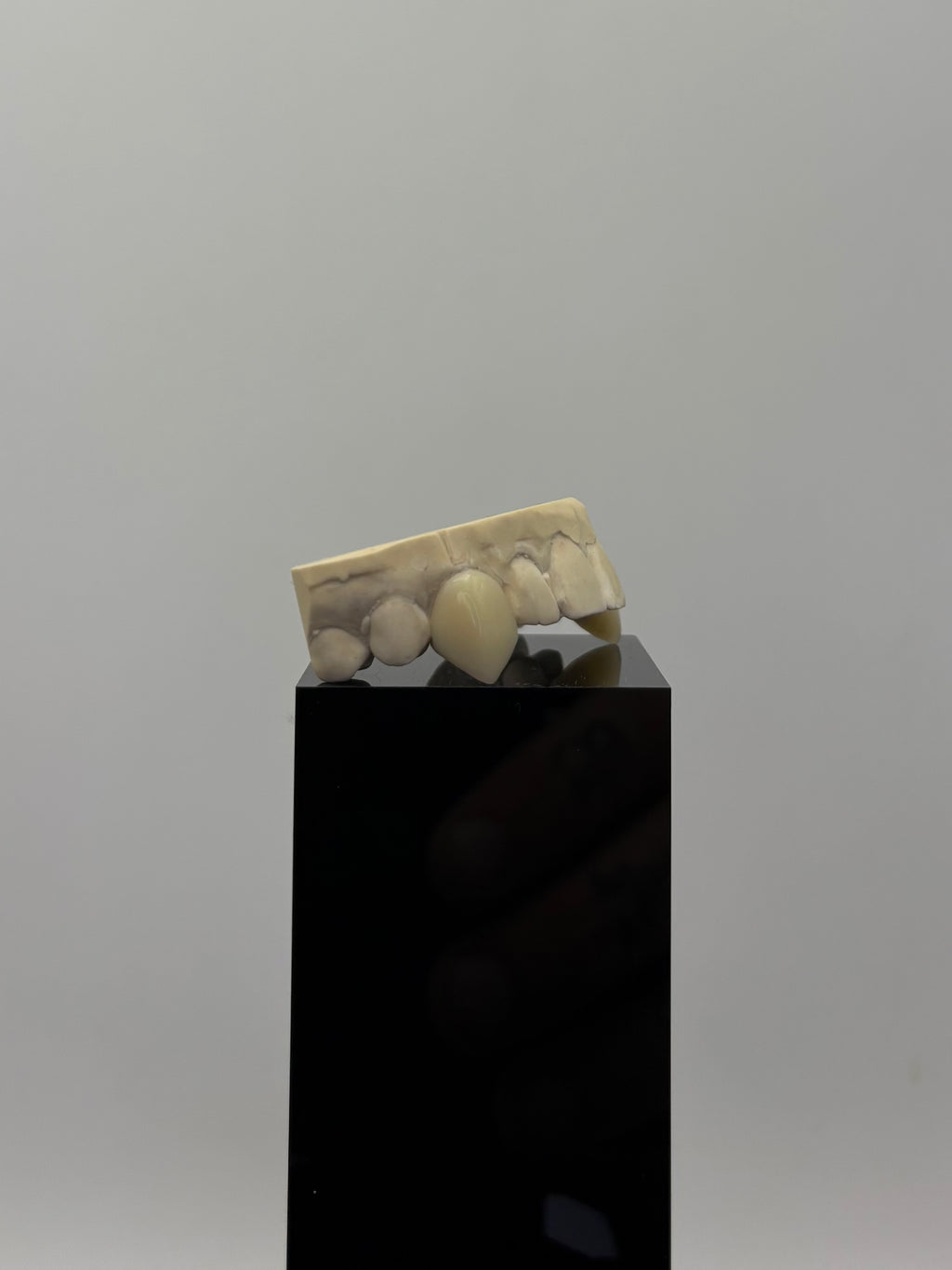 Vampire Fangs Set