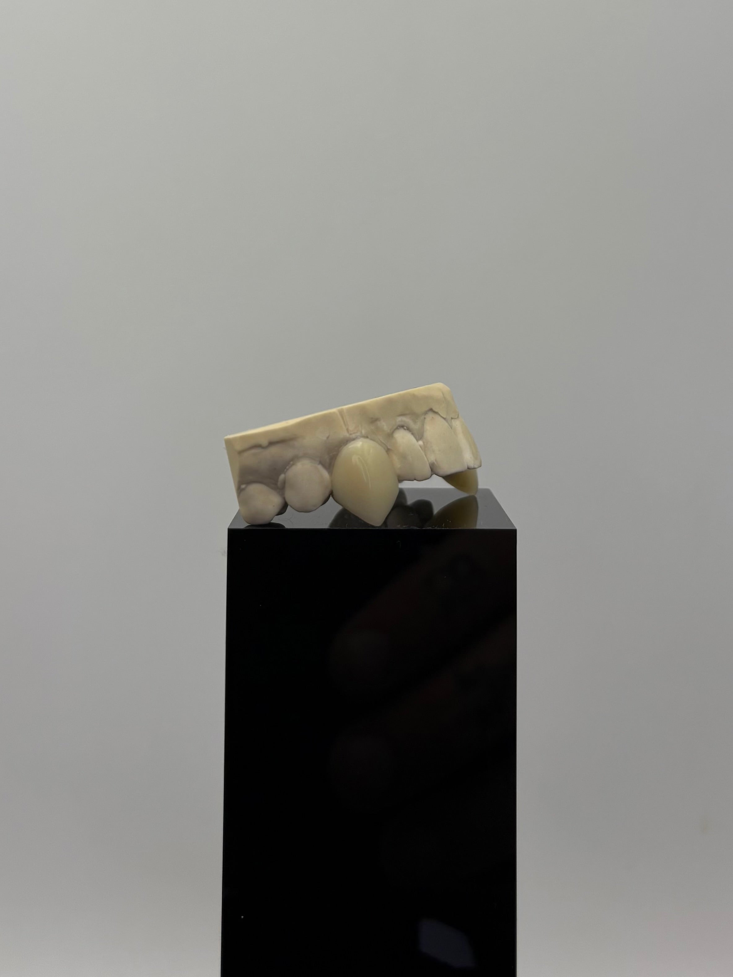 Vampire Fangs Set
